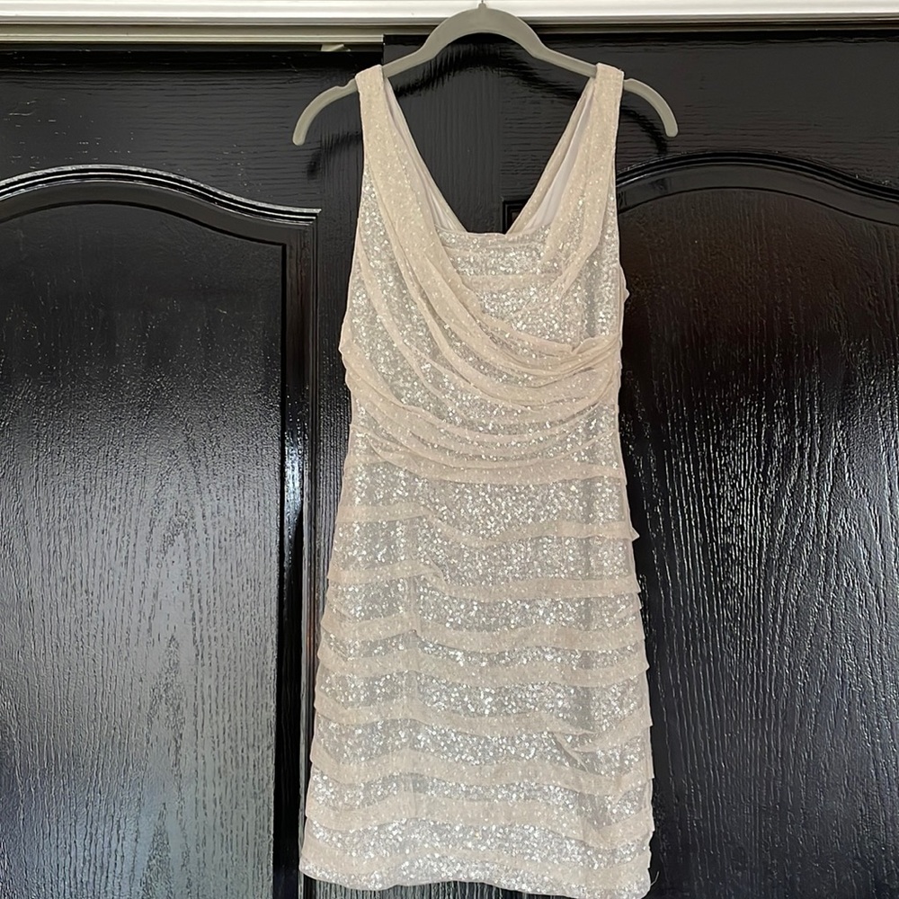 Express sequin and sheer dress